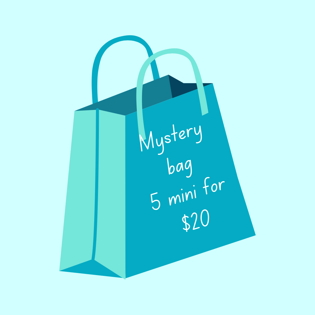 Mini Mystery Bag